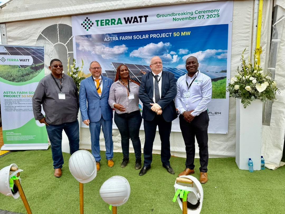 REIAoN and Namibia's renewable energy industry